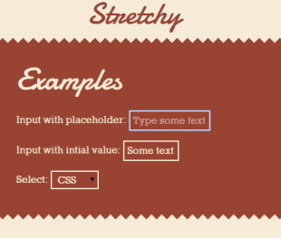 Stretchy js plugin